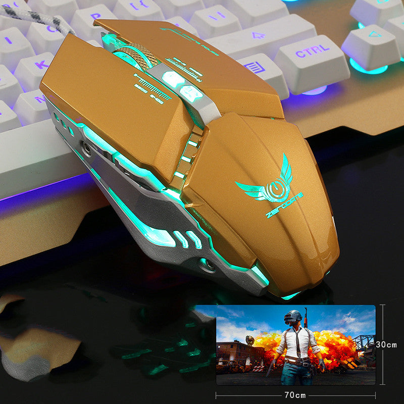 Wired Gaming Mouse for PC and eSports (USB)